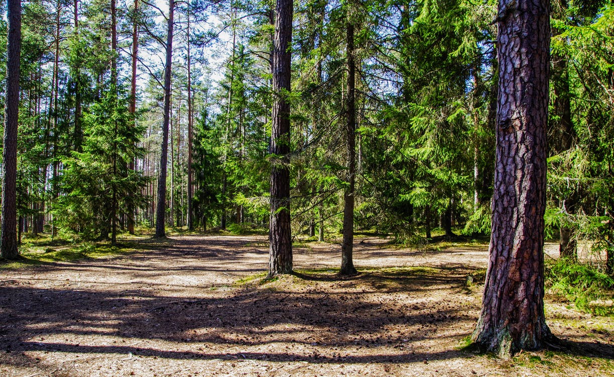 ?id=XiIDMisKmV3Hv51MNfGFbmzCrXsHr300