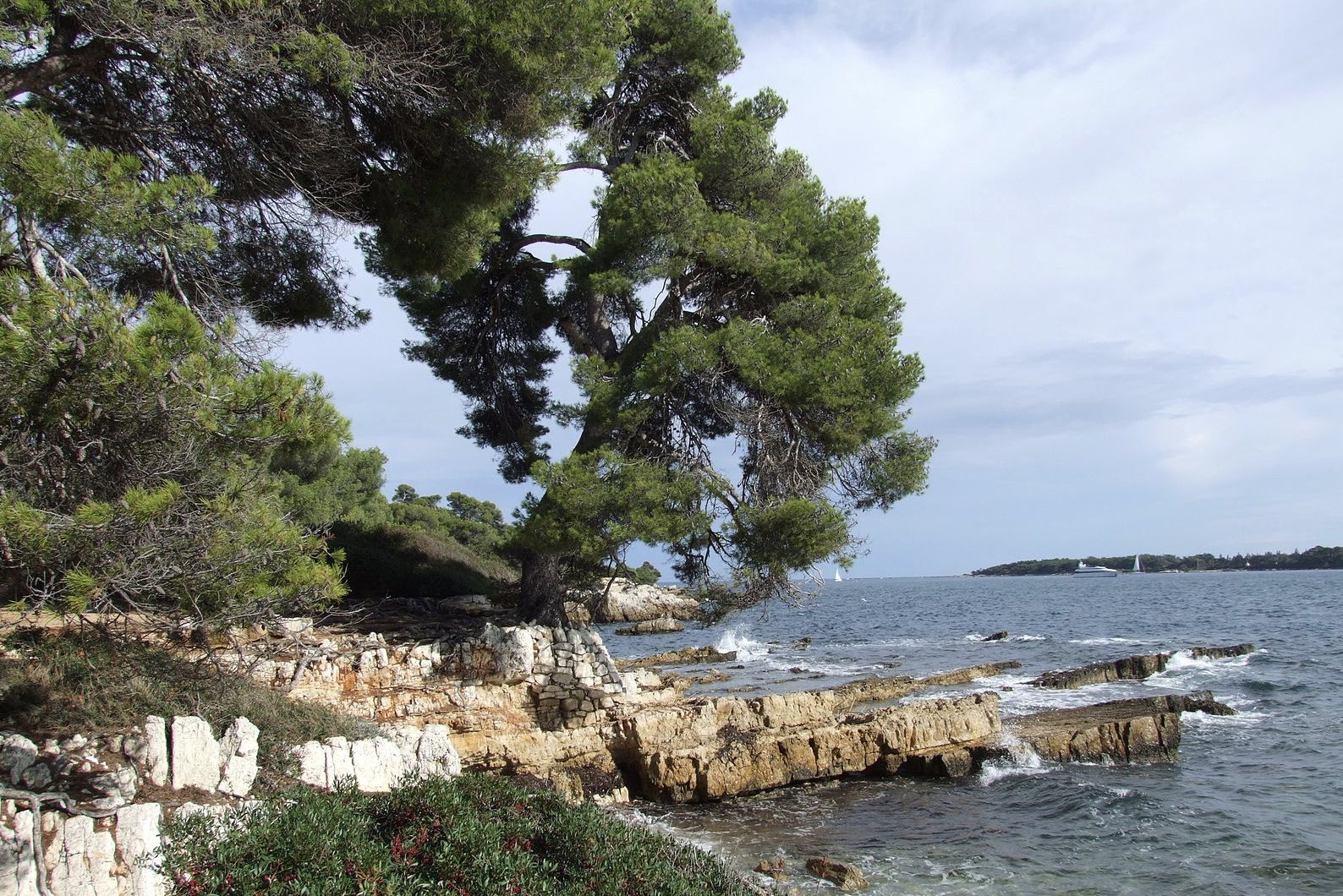 Nice : Connaissez-vous « Oh ! My Côte d’Azur » l’application pour découvrir la Côte d’Azur autrement ? 